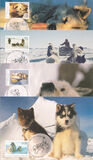 [Departure of Huskies from Antarctica, tegund CT]