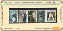 [Antarctic Wildlife, tip CL]