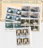 [Antarctic Wildlife, tip CL]