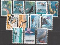 [Marine Life and Aircraft in the Service of Antarctic Research, Scrivi W]