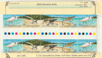 [Shoreline Birds, type OV]