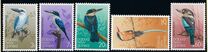 [Kingfishers, tegund NT]