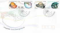 [Living Shells, סוג QB]