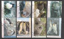 [Antarctic Wildlife, tip CL]