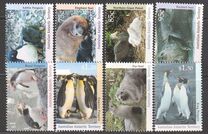 [Antarctic Wildlife, 유형 CQ]