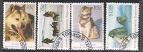 [Departure of Huskies from Antarctica, סוג CT]