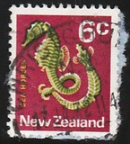 [Local Motifs, type SE]