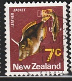 [Local Motifs, type SF]