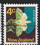 [Local Motifs, type SC]