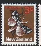 [Local Motifs, type SB]