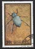[Beetles, type XR]