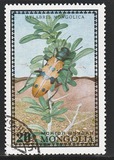 [Beetles, type XQ]
