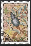 [Beetles, type XP]