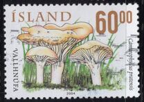[Mushrooms, տեսակ AEP]