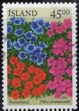 [Summer Flowers, 類型 ACX]