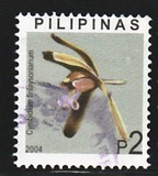[Orchids, Tipe GYS]