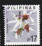 [Orchids, type GUU]