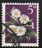 [Local Motifs - Flowers, type GX]