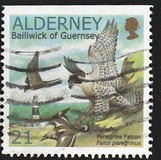 [Birds - The Peregrine Falcon, type EO]