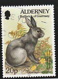 [Flora and Fauna, Tipi BX]