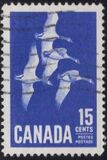[Canada Geese, type JI]