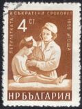 [Five Years Plan (Petoletka), タイプ AMM]