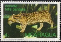 [Wild Animals, type AOK]
