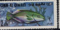 [Fish of the Arabian Gulf, 유형 FP]