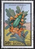 [Beetles, type XS]