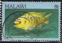 [Fish, Tip MJ]