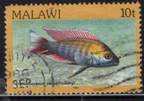[Fish, Tip MK]