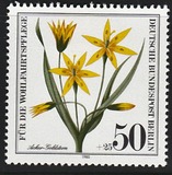[Charity Stamps - Herbal Plants, type SS]