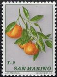 [Fruits, type ZZ]