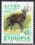 [Menelik´s Bushbuck, typ AZF8]