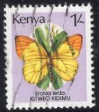 [Butterflies, type PD]