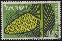 [Afforestation Achievements, Tipi HS]