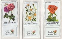 [Roses, Вид AET]