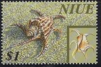 [Shells, type ACF]