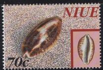 [Shells, type ACE]