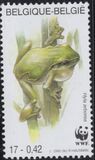 [World Wildlife Foundation, type CHO]