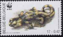 [World Wildlife Foundation, type CHQ]