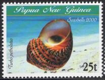 [Sea Shells, tip AEC]