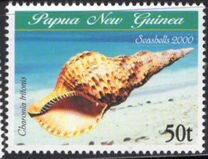 [Sea Shells, tip AED]