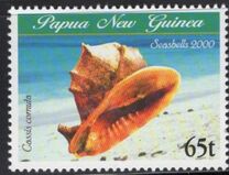 [Sea Shells, tip AEE]