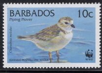 [World Wildlife Fund - Piping Plover, տեսակ AEI]