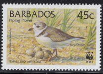[World Wildlife Fund - Piping Plover, տեսակ AEJ]