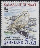 [Snow Owls, tegund JJ]