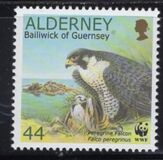 [Birds - The Peregrine Falcon, type ES]