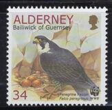 [Birds - The Peregrine Falcon, type EQ]