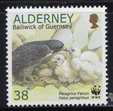 [Birds - The Peregrine Falcon, type ER]